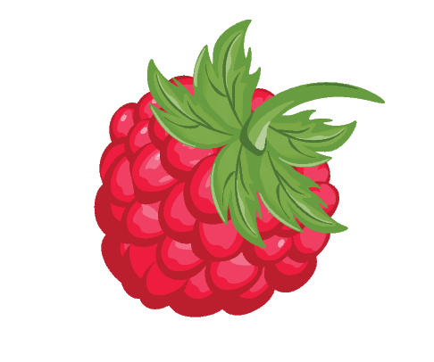 Graphic of a raspberry